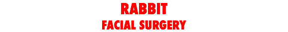 RABBIT FACIAL SURGERY